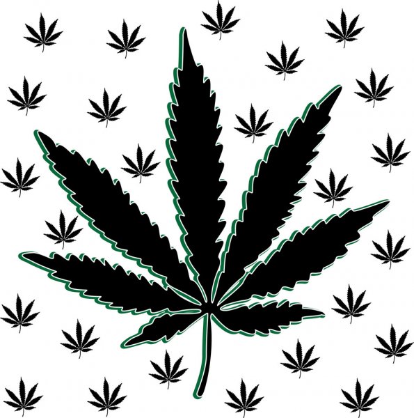 depositphotos_55418803-stock-photo-marijuana-leaves.jpg